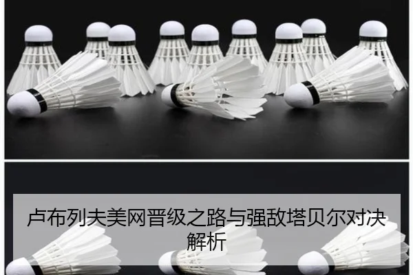 卢布列夫美网晋级之路与强敌塔贝尔对决解析